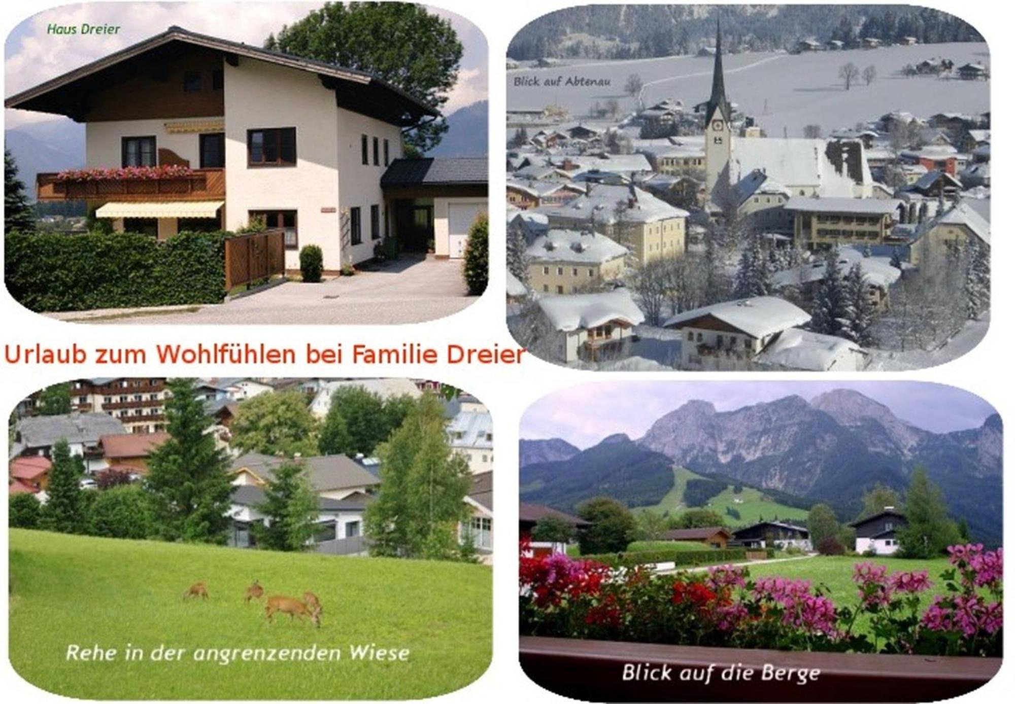 Apartment Dreier - Salzburger Land Abtenau Εξωτερικό φωτογραφία