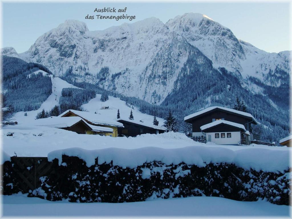 Apartment Dreier - Salzburger Land Abtenau Εξωτερικό φωτογραφία