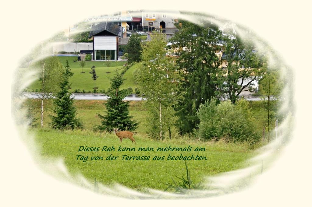 Apartment Dreier - Salzburger Land Abtenau Δωμάτιο φωτογραφία