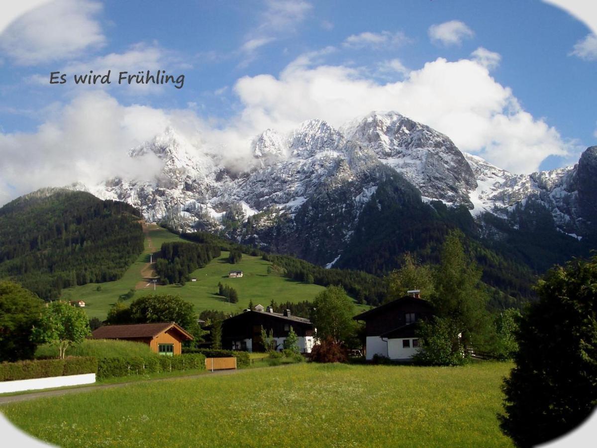 Apartment Dreier - Salzburger Land Abtenau Δωμάτιο φωτογραφία