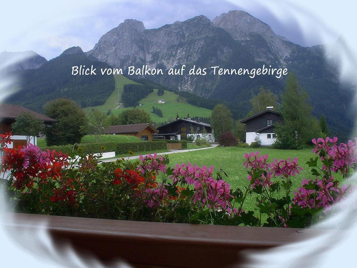 Apartment Dreier - Salzburger Land Abtenau Δωμάτιο φωτογραφία